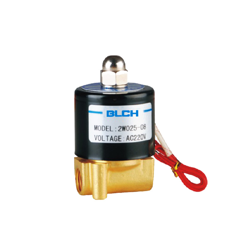 2W series Solenoid Valve