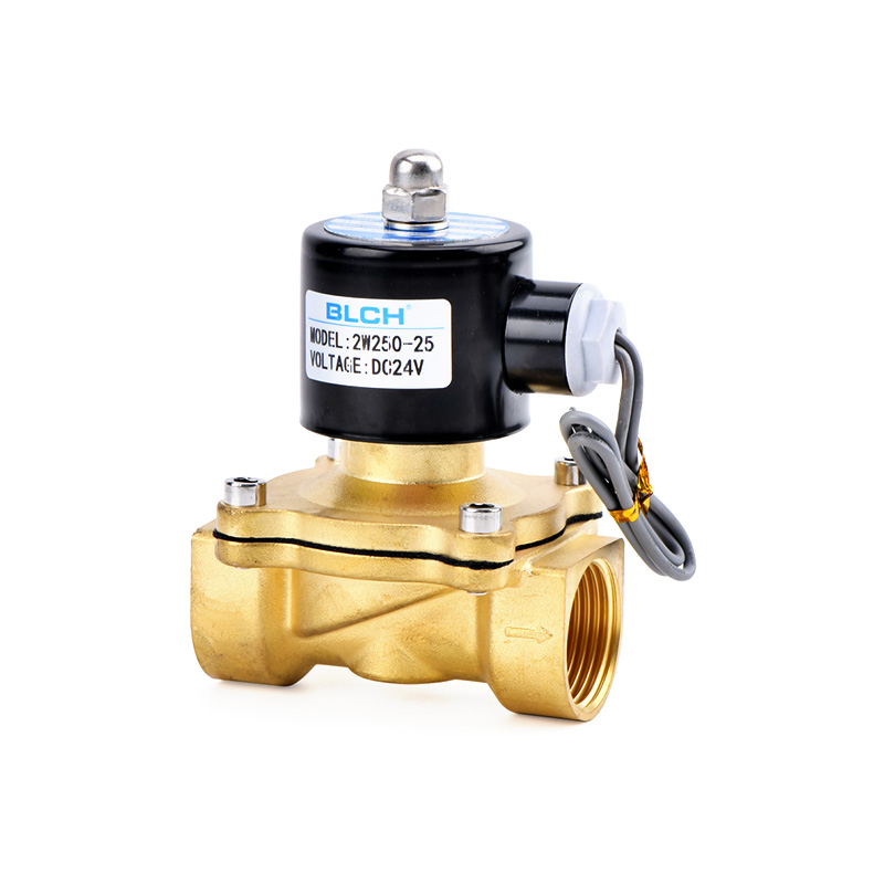 2W series Solenoid Valve